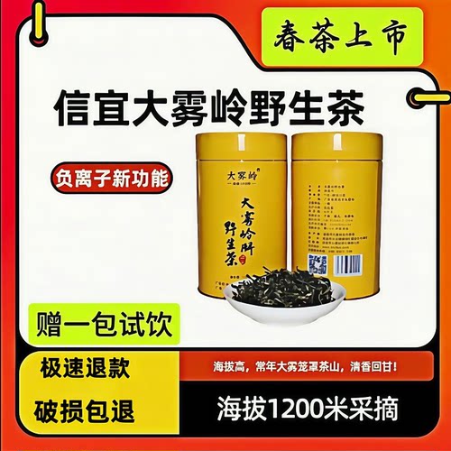春茶信宜特产大雾岭野生茶绿茶100g独立包装高山野茶新茶崖茶包邮