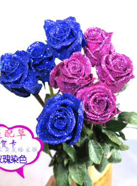 云南蓝色妖姬花束蓝玫瑰单支干花女友生日礼物家居客厅插花