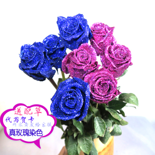云南蓝色妖姬花束蓝玫瑰单支干花女友生日礼物家居客厅插花