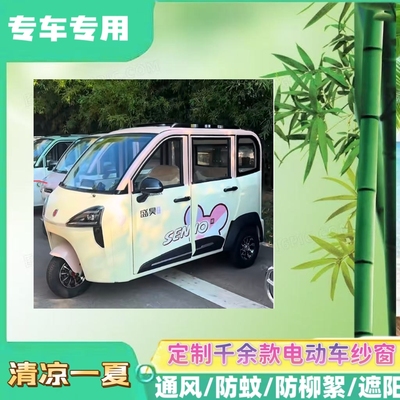 盛昊S6电动三轮车车门窗防蚊网双层防蚊纱窗防柳絮窗帘网纱罩