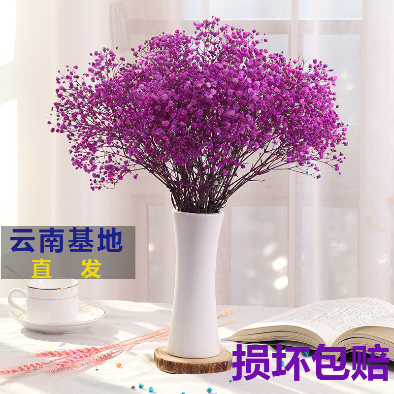 Gypsophila Dried flowers Bouquet of flowers Home Furnishing a decoration Like a breath of fresh air a living room decorate Decoration Net Red ins With vasein the Home accessories , Vase/Flower/Artificial flowers/Imitation jewelry , Dried flowers/Petal/Dried package/Dry twigs  category - from Buy2taobao.com to provide professional Taobao agent buy service
