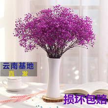 干花花束家居摆设小清新花真插客厅装 满天星 饰摆件网红ins带花瓶