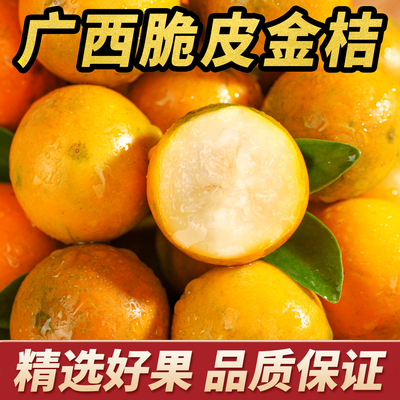 广西脆皮金桔新鲜大果正宗小金桔鲜果纯甜蜜金柑融安特产水果橘子