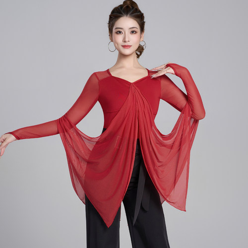 秋冬丝绒长袖摩登舞连体上衣女