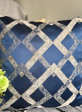 蓝色抱枕沙发客厅橙色格子轻奢床头靠垫大靠背床上靠枕枕套60简约