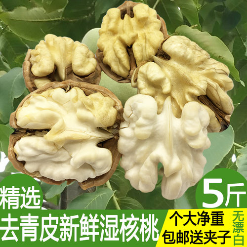 去青皮新鲜湿核桃大果