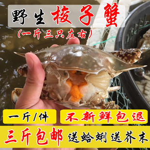 梭子蟹 鲜活 海捕野生 飞蟹 水产全母带膏黄大螃蟹海蟹花蟹海鲜