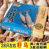 海兔鲜活新鲜满籽笔管鱼海鲜水产子乌八爪鱼鱿鱼墨鱼仔礼盒装 1kg