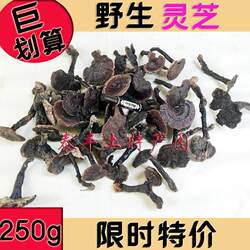 野山灵芝250g紫芝深山大山灵芝正宗粤北韶关始兴特