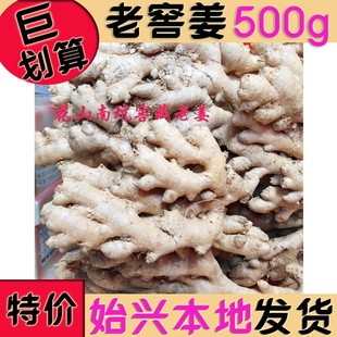 韶关始兴本地老窖姜500g饱满窖藏月子姜粤北特产老姜干货南坑