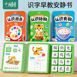 识字早教安静书魔术贴认知益智幼儿园启蒙玩具卡片宝宝儿童识字卡