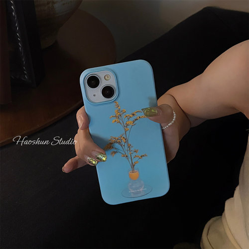iPhone16pro磨砂菲林硬壳