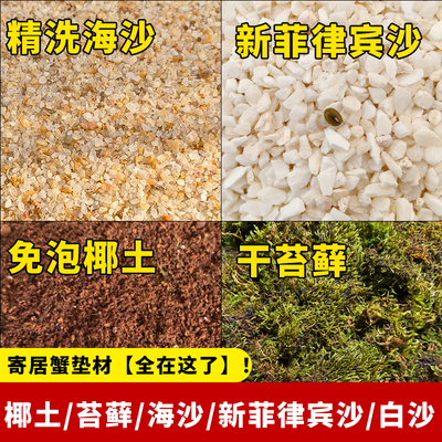 免洗寄居蟹专用沙陆生天然流沙海沙用品生态缸铺底沙子饲养沙底砂