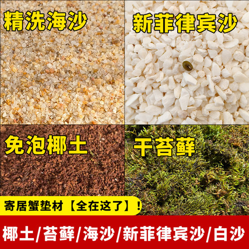 免洗寄居蟹专用沙陆生天然流沙海沙用品生态缸铺底沙子饲养沙底砂