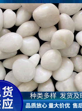白色天然鹅卵石花园造景阳台小白石头砾石庭院白石子颗粒