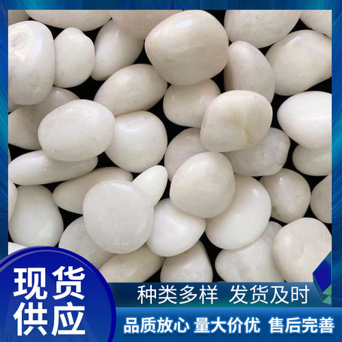 白色天然鹅卵石花园造景阳台小白石头砾石庭院白石子颗粒