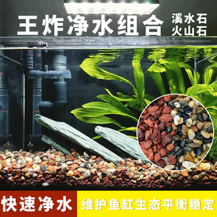 溪流石鱼缸造景装饰专用底砂铺底颗粒生态溪水水质植物天然火山石