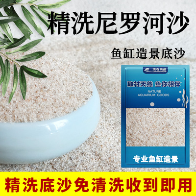 尼罗河沙化妆沙草缸造景