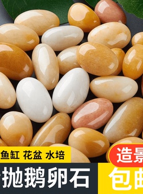 天然黄色鹅卵石抛光小石头花盆镇宅阳台造景河卵石庭院铺路景观