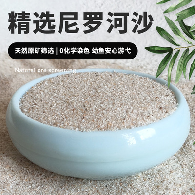 天然尼罗河沙化妆沙水草缸南美缸鼠鱼底砂鱼缸造景细河沙米黄细沙