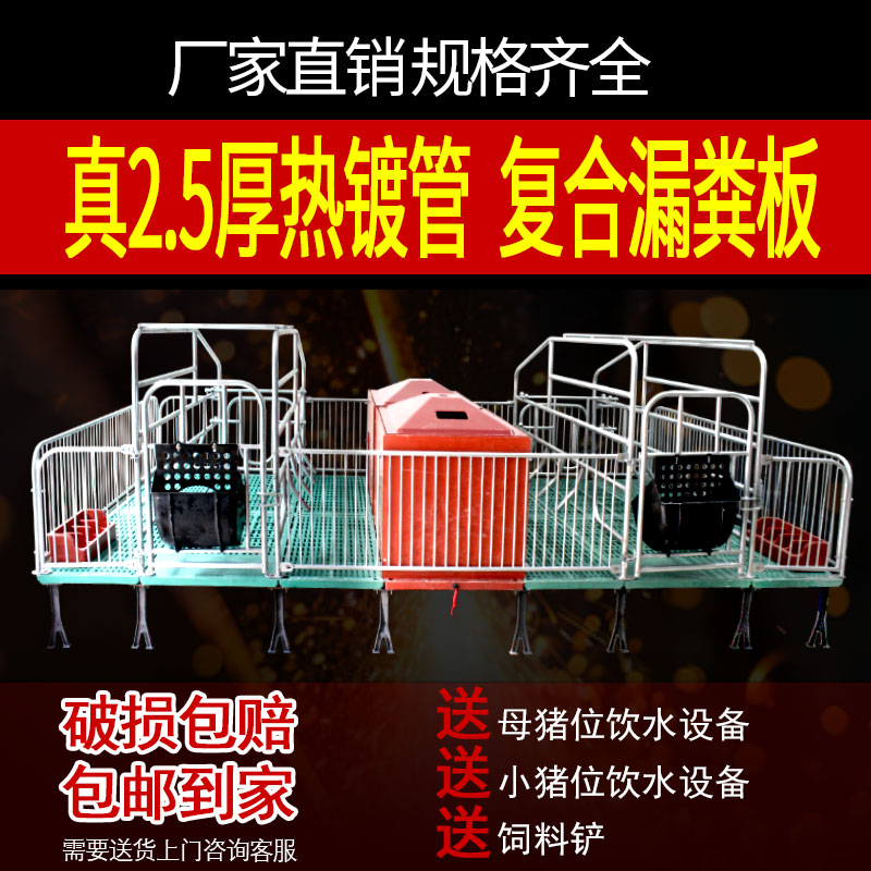 新款升级复合双体母猪产床母猪分娩床定位栏落地式母猪产床漏粪板