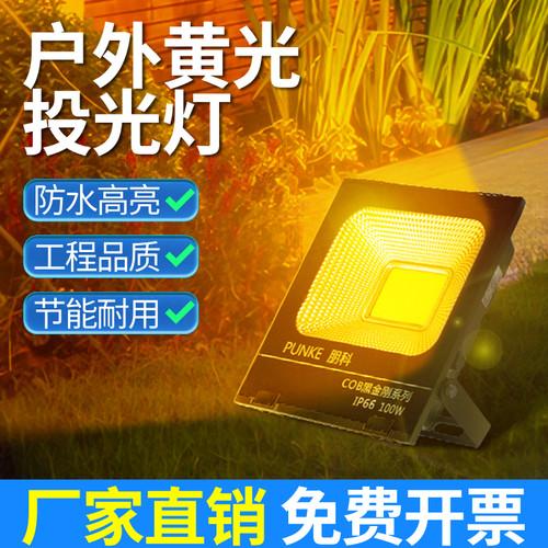 黄光投光灯源头工程直销