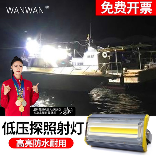 低电压高亮照明射灯【品质至上】