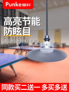 乒乓球室专用灯，无影灯，台球厅吊灯，室内照明，防眩光羽毛球馆