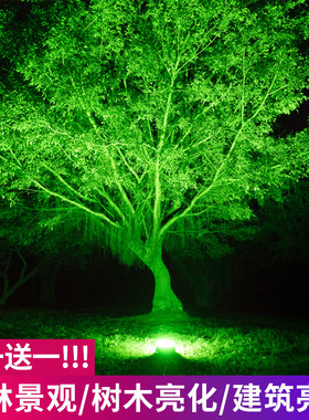 射树灯户外防水led园林绿化庭院灯彩色投光灯室外照树灯景观射灯