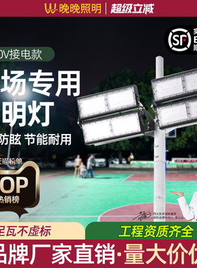 大面积户外照明灯220vled超亮强光篮球场体育场灯专用羽毛球场灯
