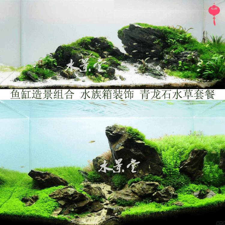 青龙石鱼缸装饰造景  桌面造景水族箱生态长方形家用金鱼缸