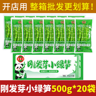 四川高山翡翠笋青笋绿竹笋新鲜脆嫩细小竹笋清水笋尖火锅笋商用