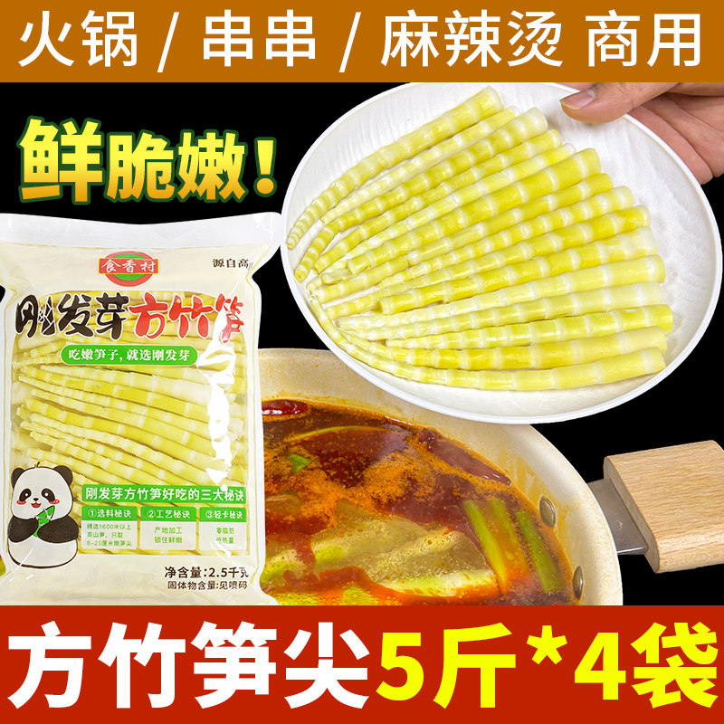 四川竹笋新鲜春笋清水笋罗汉笋无笋衣小竹笋尖野山笋火锅笋商用