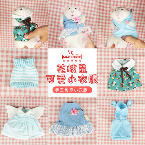 群子拍摄道具美观彩色室内花枝鼠