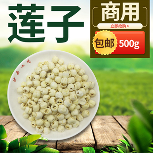 莲子沙县小吃配料炖罐瓦罐煲汤 特产莲子猪肚汤500克散装农产包邮