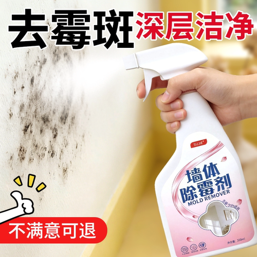 白墙专用除霉防霉喷雾剂