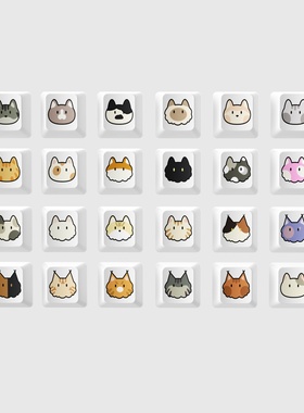 佩森丨猫咪系列 卡通猫头键帽  PBT原厂高度 可DIY爱猫键盘