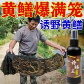 黄鳝诱食剂 诱黄鳝小药黄鳝专用诱饵信息素饵料 千米一窝成群来