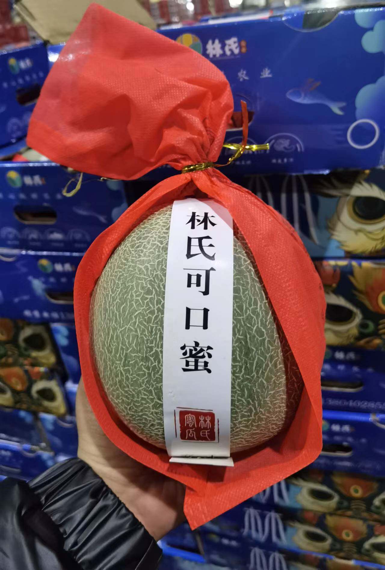 海南林氏梅陇网纹可口蜜瓜一藤一瓜 软心蜜瓜软糯香甜5-6粒装多省