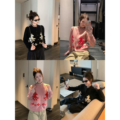 opening自制小飞马重工