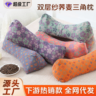 全荞麦壳枕头护颈椎助睡眠枕芯一对家用成人决明子硬枕单人荞麦枕