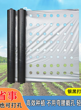 打孔银黑地膜农用种植