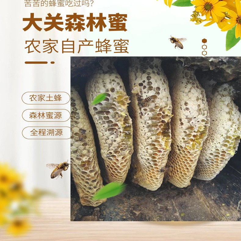 农家土蜂蜜自然封盖成熟蜜深山采酿野生黄柏花蜂蜜顺丰包邮