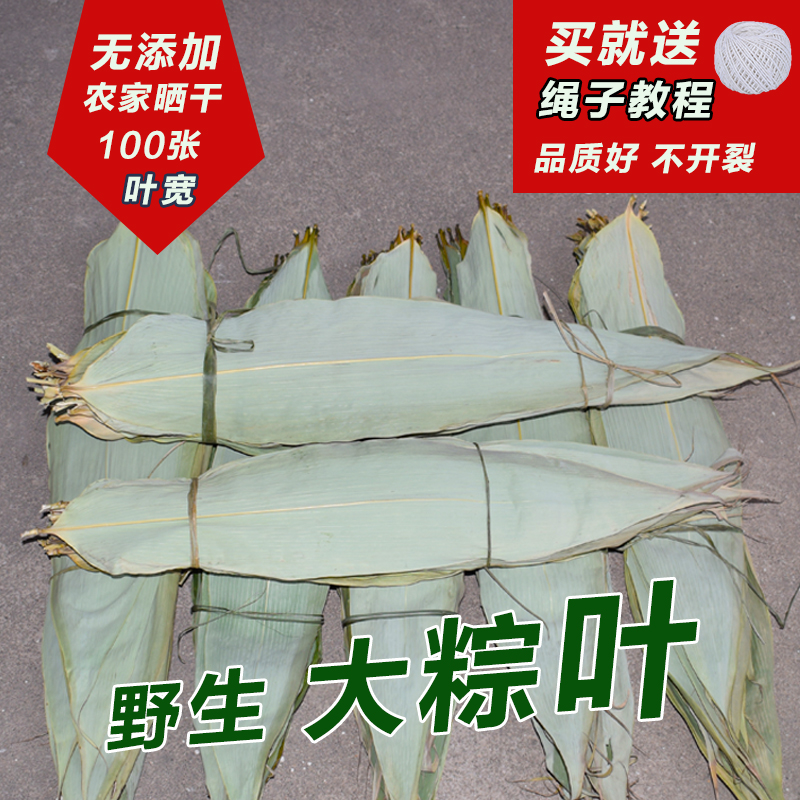干粽叶包粽子大粽叶新鲜纯天然农家粽叶100张免邮竹棕叶箬叶