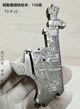 T2-PJ2新疆阿勒泰铁陨石150克切片镍纹石陨铁文创饰品标本礼物