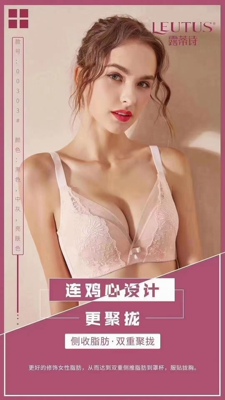 聚拢型内衣露蒂诗小胸