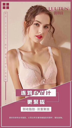 聚拢型内衣露蒂诗小胸