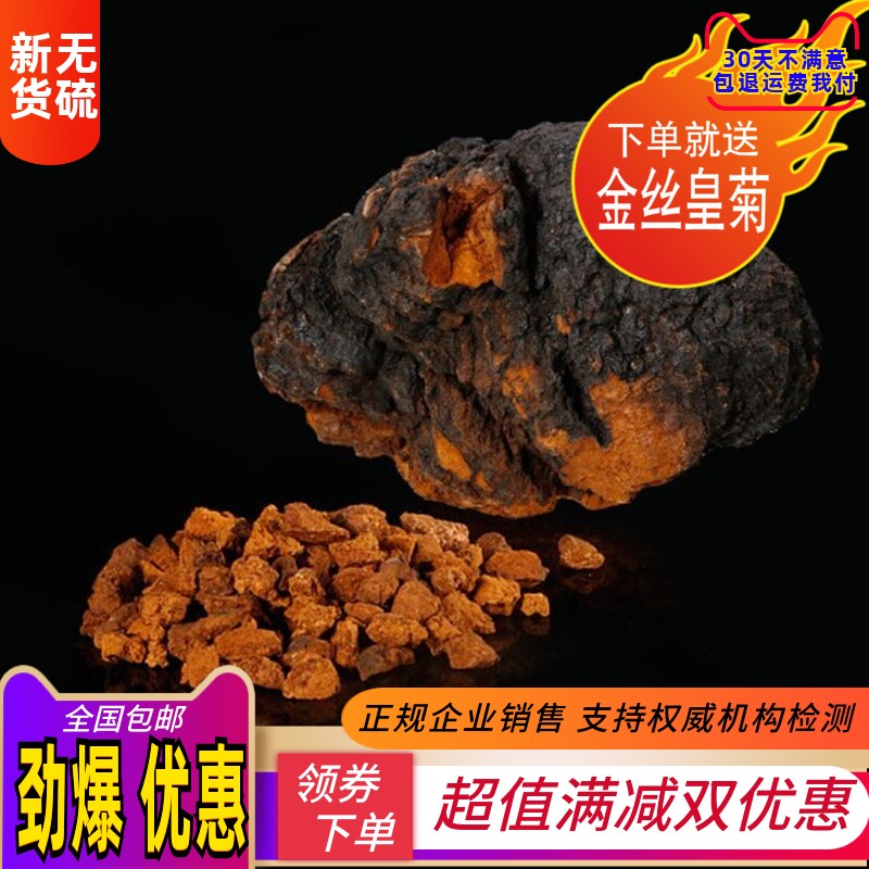白桦茸颗粒俄罗斯可打粉包邮