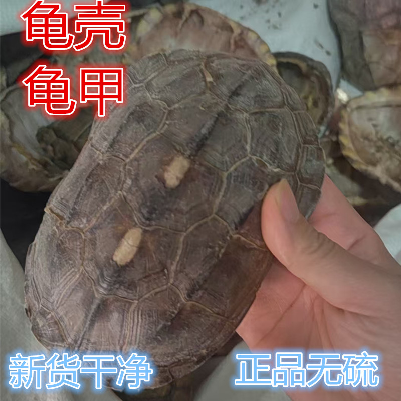 乌龟壳中药材龟板粉背甲壳无硫