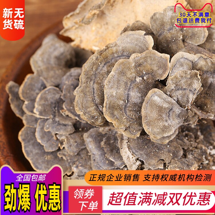云芝 天然正品中药材500克长白山黄云芝 杂色云芝蘑 云芝菌中草药
